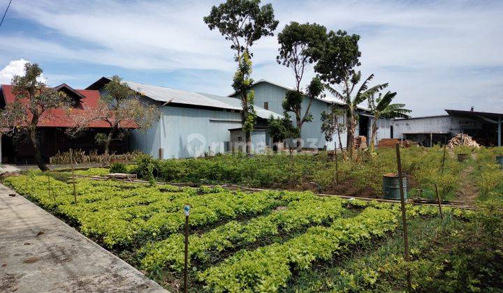JUAL MURAH, GUDANG AKTIF DI KARANG PLOSO MALANG 1