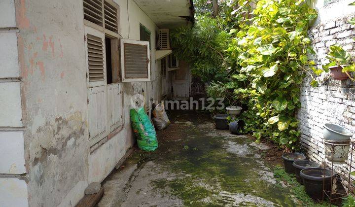 Rumah tua tidak banjir di Petojo Jakarta pusat  2