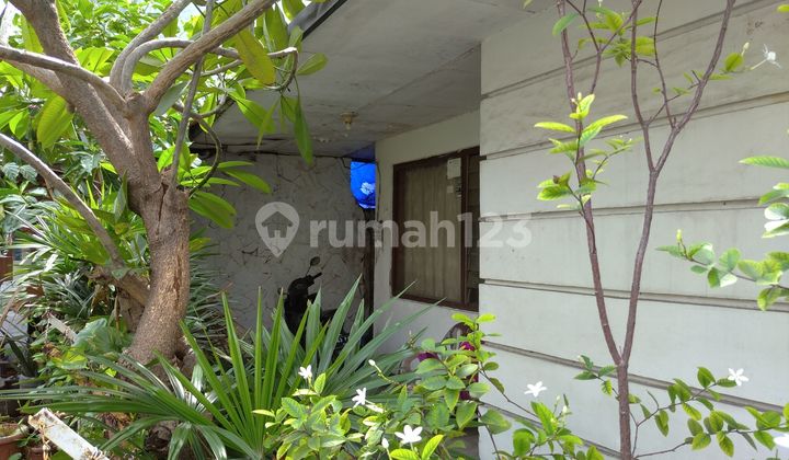 Turun Harga !! Rumah Tua Tidak Banjir Di Petojo 2