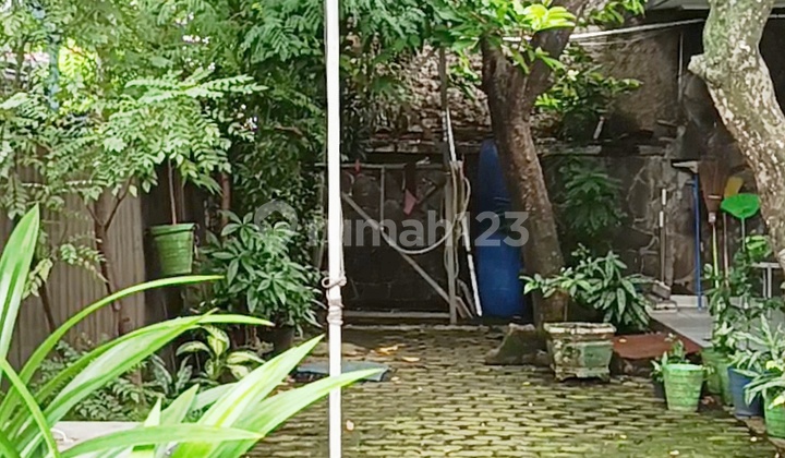 Murah! Rumah Tua Hitung Tanah di Slipi Jakarta Barat 2