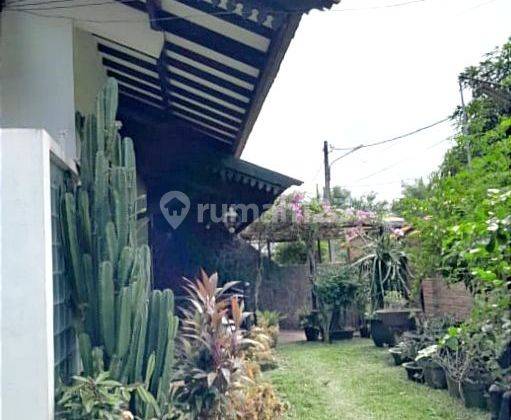 Rumah Kebun Dalam Komplek Asri Di Cibubur  2