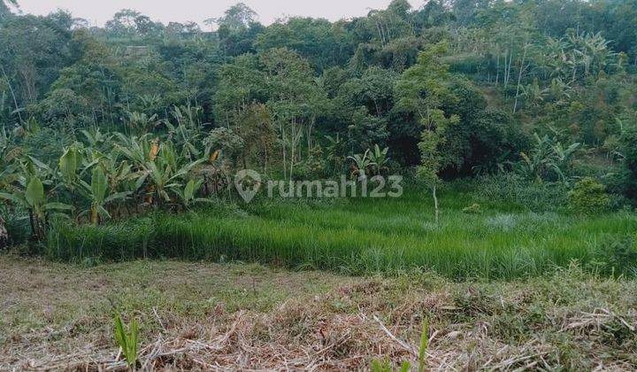 Tanah luas di 2 lokasi dan desa yang sama, Kec Tutur,  Nongkojajar - Pasuruan 2