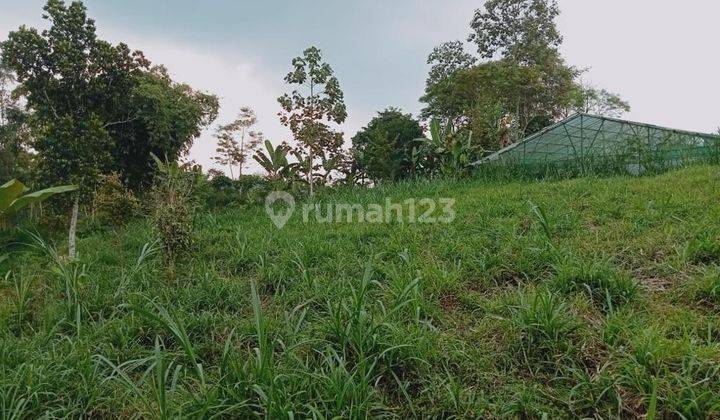 Tanah luas di 2 lokasi dan desa yang sama, Kec Tutur,  Nongkojajar - Pasuruan 1