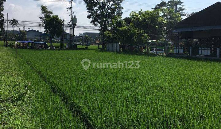 Tanah Luas Bagus Untuk Tempat Usaha Pinggir Jalan Malang  1