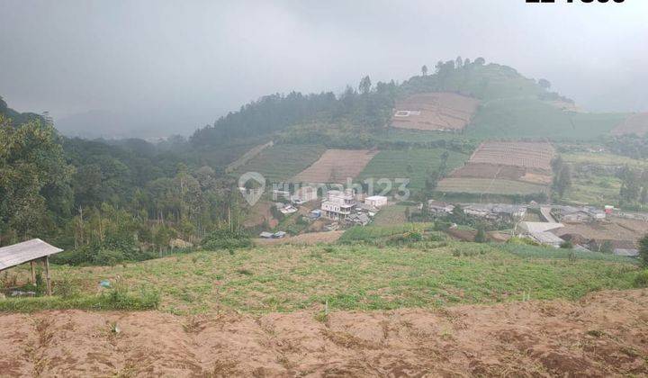 Edisi Bu Tanah Murah View Pegunungan di Dataran Tinggi Kota Batu  1