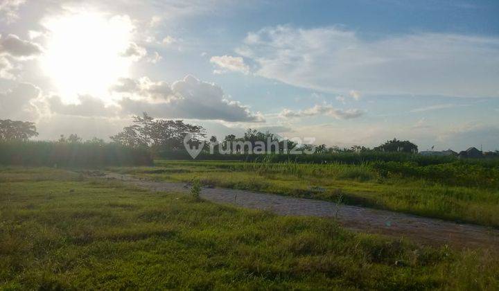 Tanah Kavling Milik Pribadi Siap Bangun Di Wagir Malang 2