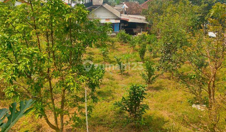 Tanah Subur Banyak Pohon Buah View Citylight Dan Gunung Kota Batu 2