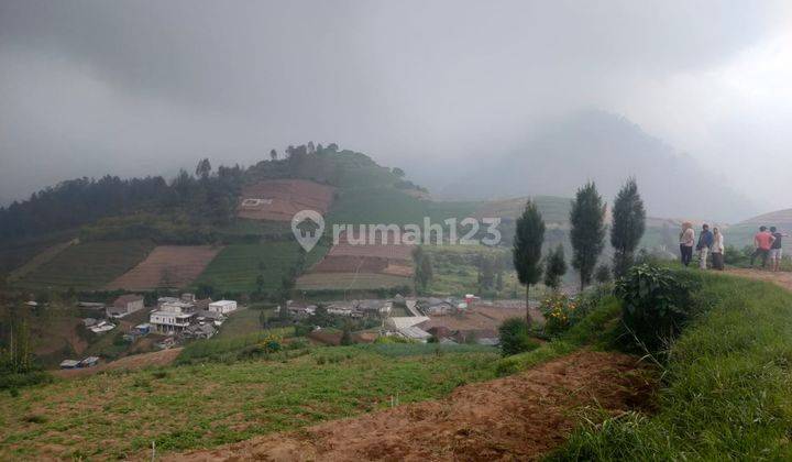 Tanah Luas Subur Produktif Untuk Pertanian Sayur di Kota Batu 2