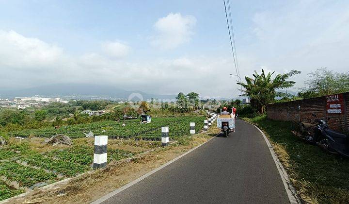 Tanah Murah Luas Strategis di Poros Jalan Pandanrejo Kota Batu  2