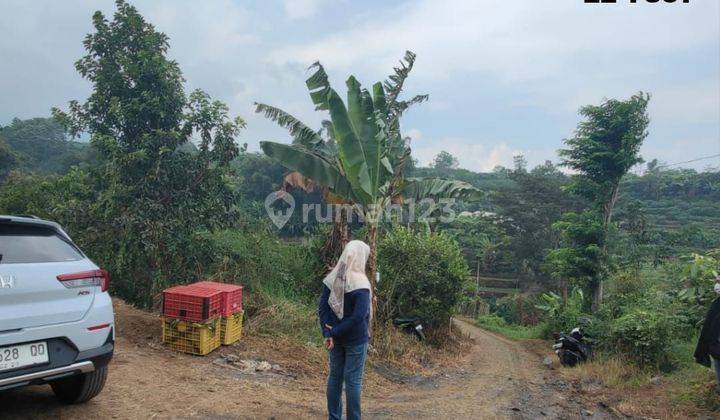 Tanah kebun jeruk murah dan luas di Bumiaji Batu 1