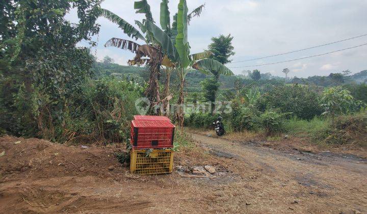 Tanah kebun jeruk murah dan luas di Bumiaji Batu 2