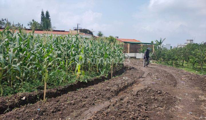 Edisi Bu Tanah Subur View Menawan Murah Strategis di Kota Batu  1