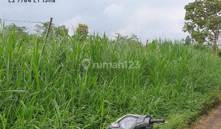 Tanah luas murah cocok untuk kavling di pakis malang 1