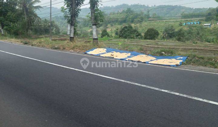 Lahan cocok untuk kavling akses mobil di kasembon kab malang  2