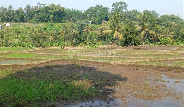 Lahan cocok untuk kavling akses mobil di kasembon kab malang  1