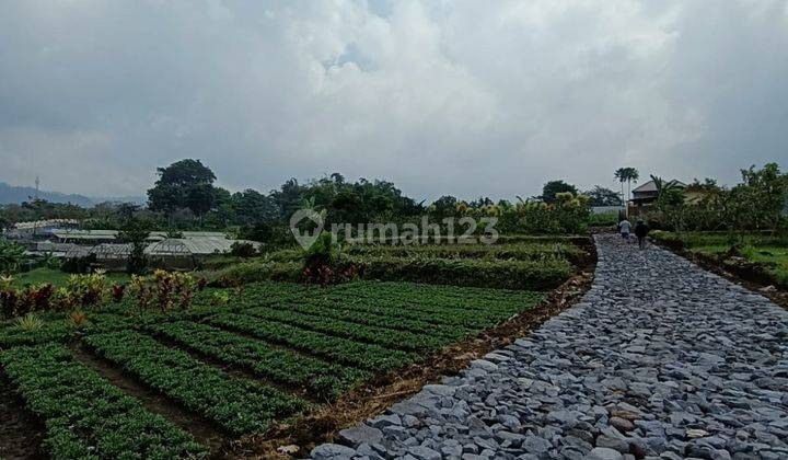 Edisi Bu Tanah Subur View Menawan Murah Strategis di Kota Batu  2