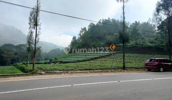 Tanah Super Luas Dataran Tinggi View Citylight Dekat Selecta Batu 1