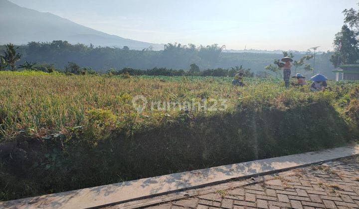 Tanah Sawah Luas Subur View Bagus Menawan di Kota Batu 1