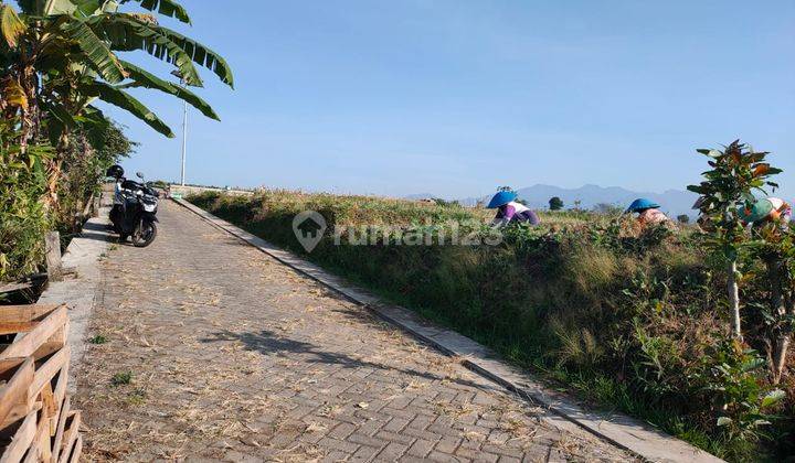 Tanah Sawah Luas Subur View Bagus Menawan di Kota Batu 2