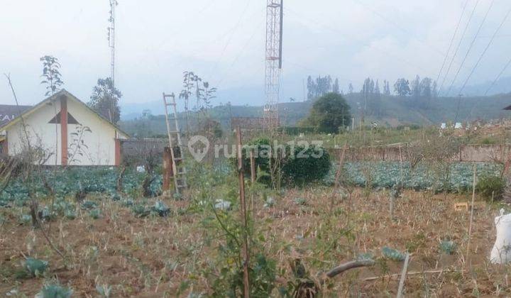 Tanah Dan Bangunan Bagus Poros Jalan Area Pemukiman Di Tumpang Malang 1