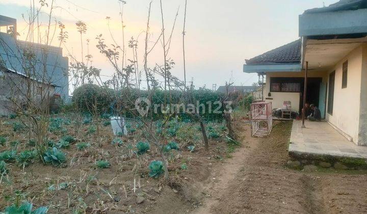 Tanah Dan Bangunan Bagus Poros Jalan Area Pemukiman Di Tumpang Malang 2