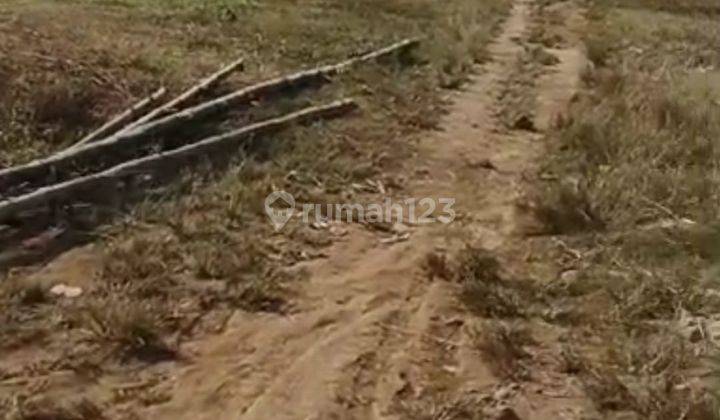 Tanah Luas Clearing Strategis Akses Mobil Mudah Di Malang Kota 1