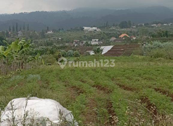 Tanah Luas Murah Strategis Nego Sampai Deal di Kota Batu  2