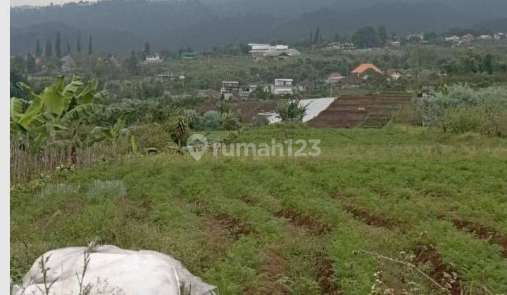 Tanah Luas Murah Strategis Nego Sampai Deal di Kota Batu  1