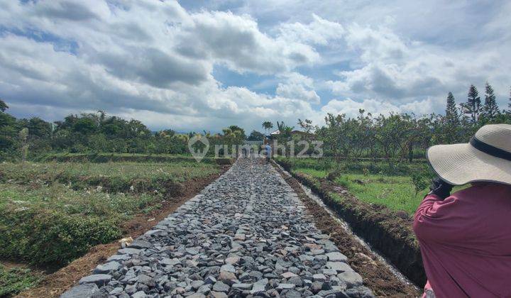 Tanah Luas Super Murah View Pegunungan Kota Batu  2