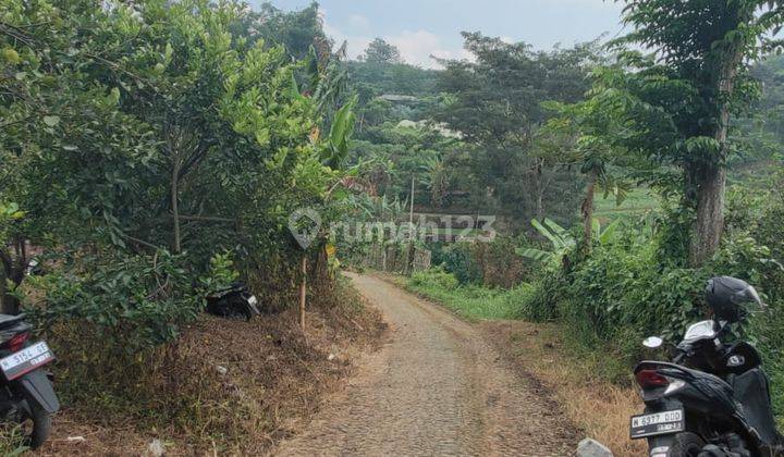 Tanah Kebun Jeruk Luas Murah Strategis di Bumiaji Kota Batu 2