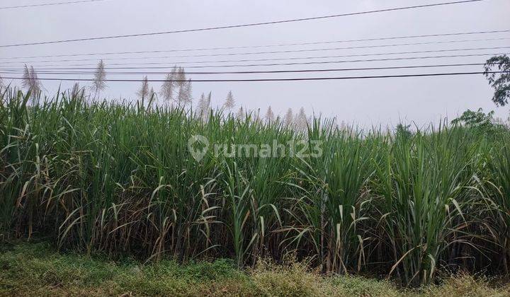 Tanah Luas Murah Strategis di Poros Jalan Singosari Malang  2