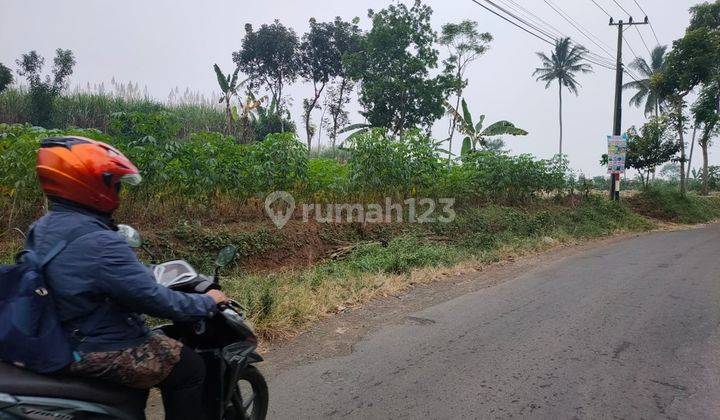 Edisi BU Tanah Strategis Poros Jalan Tumapel Singosari Malang  2