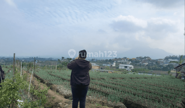 Tanah Murah Potensial View Indah Akses Mudah Lokasi di  Kota Batu 1