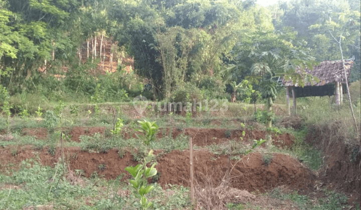 Tanah Murah Cocok Untuk Cluster Akses Mobil Lokasi di Bumiaji Batu 1