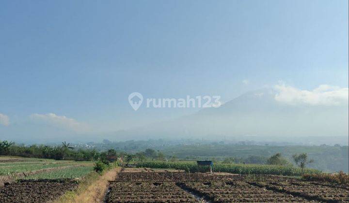 Tanah luas dan murah mudah dijangkau dari pusat kota Batu 1