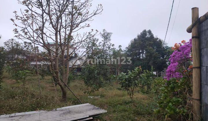 Tanah Kebun Buah Subur Berada di Poros Jalan Dekat Cafe Kota Batu 2