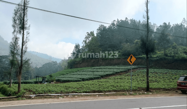 Tanah Luas Siap Bangun Murah Pemandangan Indah di Bumiaji Batu  1