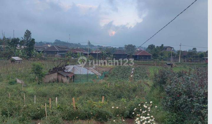 Tanah Murah Luas Asru Berada di Poros Jalan di Kota Batu 1