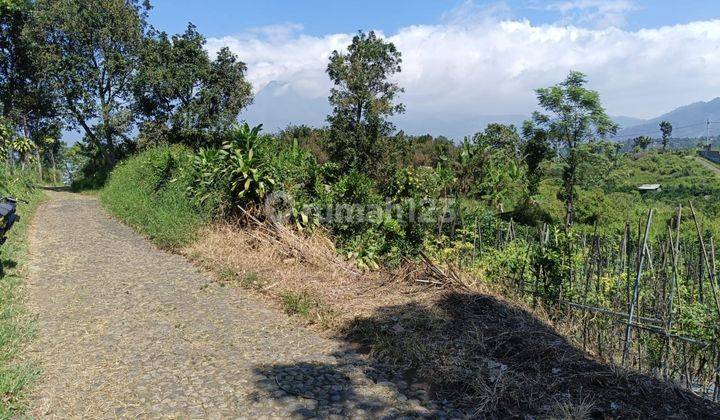 Tanah Subur Luas View 360 Untuk Berkerbun Dataran Tinggi Batu 2