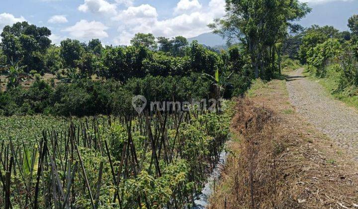 Tanah Subur Luas View 360 Untuk Berkerbun Dataran Tinggi Batu 1