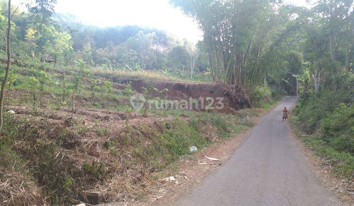 Tanah murah cocok untuk kavling di gunung Sari Batu. 2