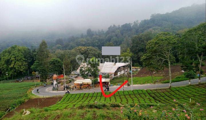 Tanah subur dan murah di dataran tinggi jurangkuali Batu 1