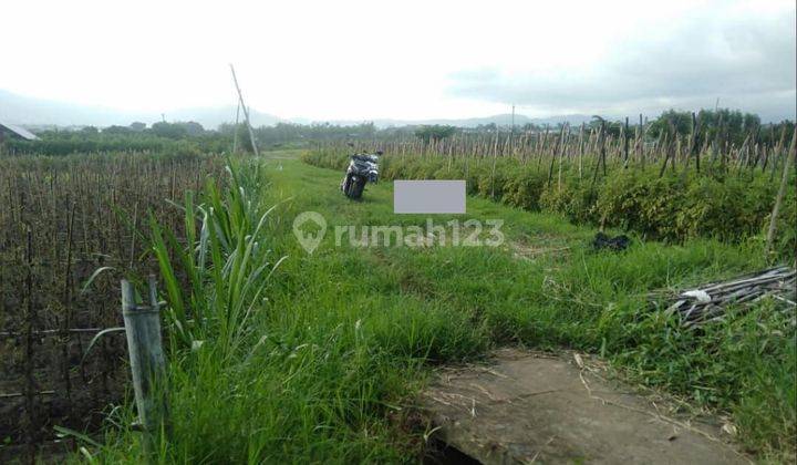 Tanah murah dan luas di lasah Karangploso malang 1