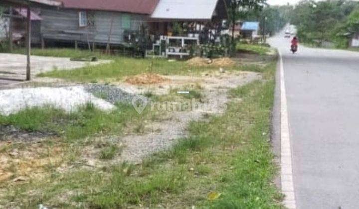 Lahan Luas Poros Jalan Potensial Untuk Tani Atau Perum Di Kaltim 1