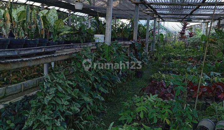 Rumah Luas Murah Potensial Lokasi Strategis di Bumiaji Batu  2