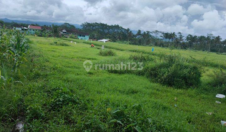 Tanah luas super strategis di Kepanjen Kab Malang 2
