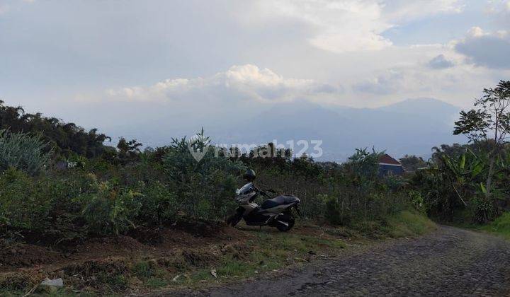 Tanah Asri Luas Dan Murah Di Sumbergondo Bumiaji Batu 1