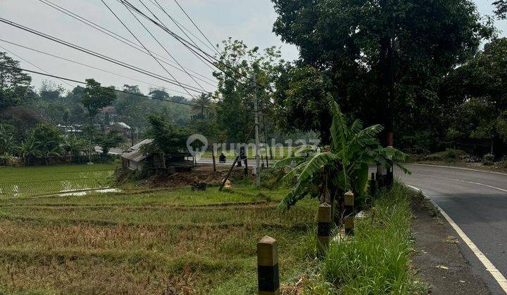 Tanah Sawah Di Poros Jalan Kondisi Subur Utk Tani Dan Inves Di Malang 1