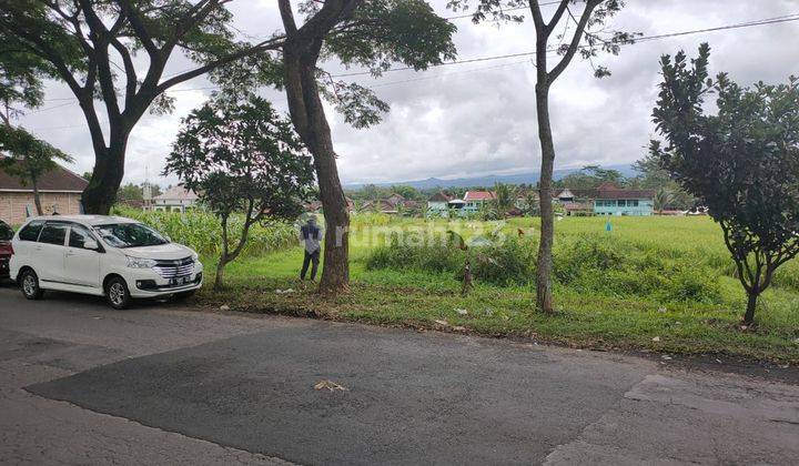 Tanah Luas Cocok Untuk Perum Atau Resto Di Poros Jalibar Kepanjen 2