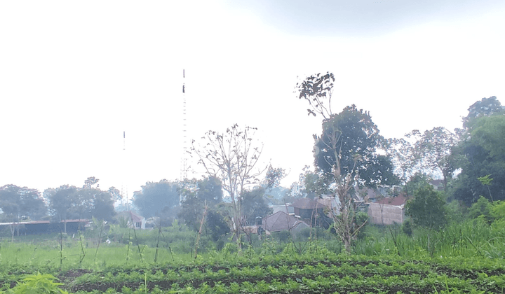 Tanah Kavling Luas Area Perkebunan View Gunung Di Jalibar Batu 1